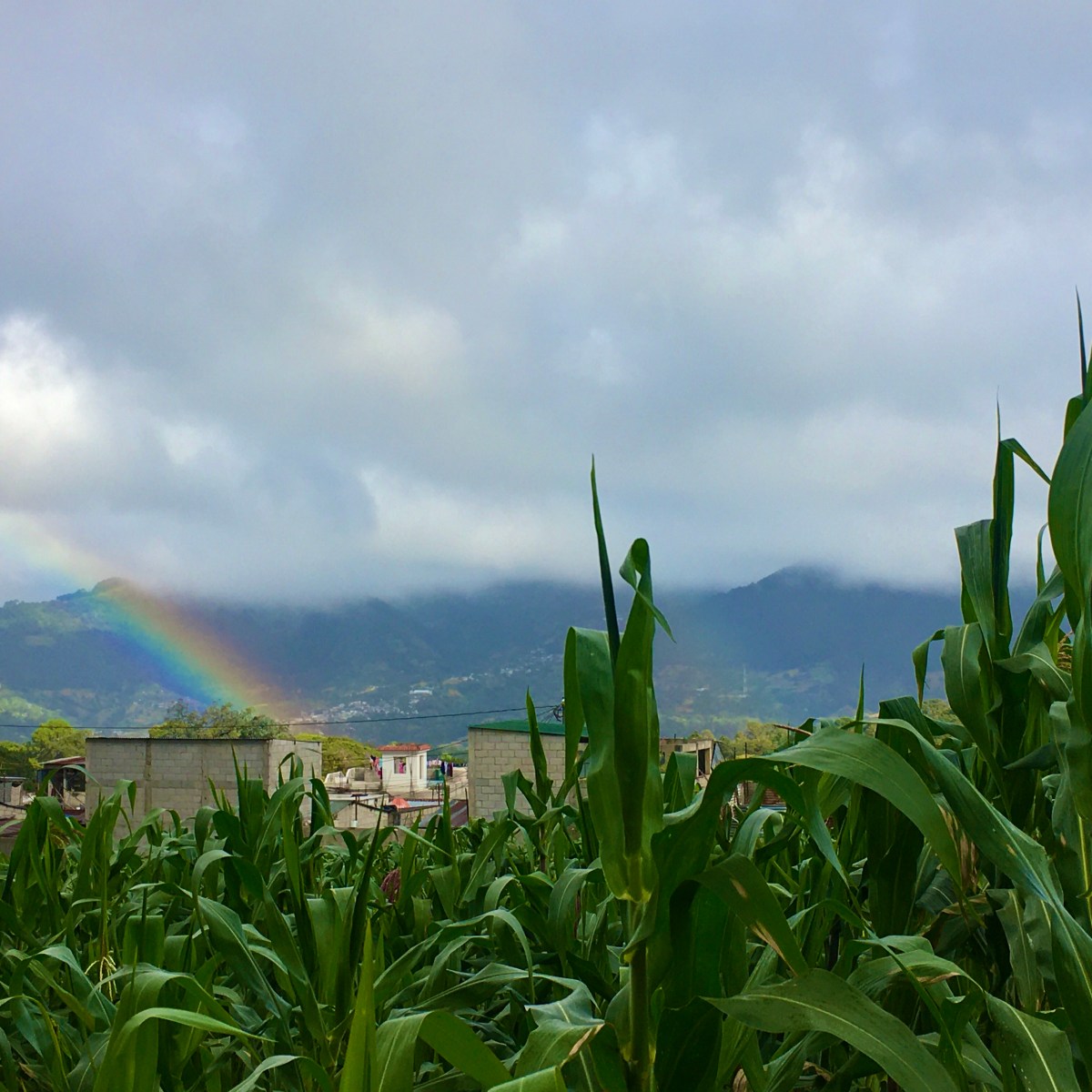 Happy New Year from&nbsp;Guatemala!